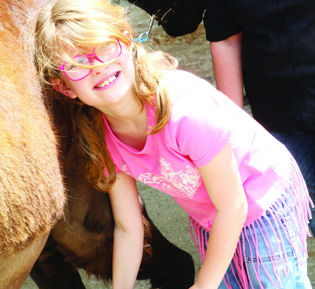 HorsePlay prepares for next session with call for volunteers